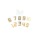 M-Pets Party Time Birthday Set for Male Cats 1 Count