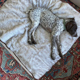 PupProtector™ Summer Short Fur Waterproof Throw Blanket - White with Brown Accents
