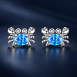 925 Sterling Silver White Gold Plated CZ Earrings for Women