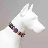 Lindo Ginger Man Dog Collar Stylish Adjustable Design Medium 37-56cm
