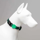 Lindo Brazil Dog Collar Stylish Daily Design Small 30-44cm