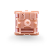 Salmon Tactile Switch