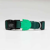 Lindo Brazil Dog Collar Adjustable Design Medium 37-56cm
