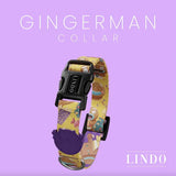 Lindo Ginger Man Dog Collar Small 30-44cm