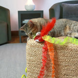 Mad Cat Nom Nom Catnip and Silvervine Teaser Wand Toy