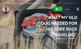 HEST Dog Bed
