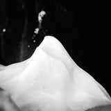 Kells Shaving Soap - by Murphy and McNeil