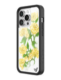 Yellow Roses iPhone Case