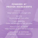 HypoFix™ Primer - 20ml