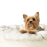 PupPouf™ Faux Fur Donut Dog Bed - White with Brown Accents