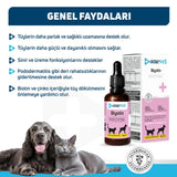Onevet Biotin Skin & Coat Support Drops for Cats and Dogs 30ml
