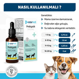 OneVet Prebiotic Digestive Support Drops for Cats & Dogs 30ml