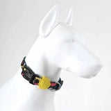 Lindo Enjoy Dog Collar Stylish Small 30-44cm
