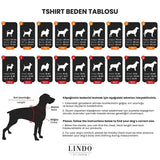 Lindo Orange Blossom Dog T-Shirt Lightweight Comfort Pet Apparel