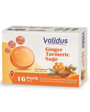 Validus Ginger & Turmeric Herbal Pastilles with Honey 16 Count